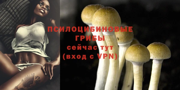 гидра Балахна
