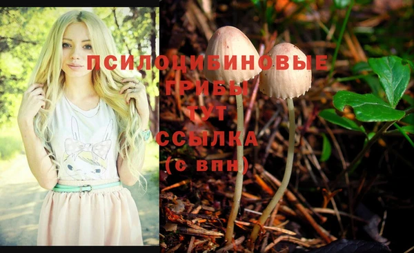 гидра Балахна