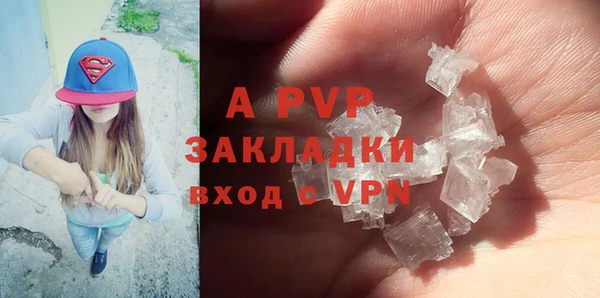 индика Балабаново